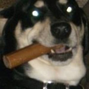 Meet your Posher, Amie